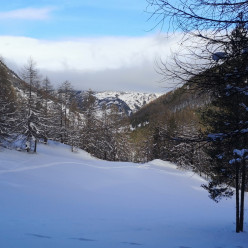 Séjour raquettes Mercantour 1er au 6 février 2027